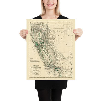 Old Wine Map of California, 1880: San Francisco, Los Angeles, Sonoma, Vineyards, Phylloxera