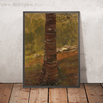 A framed image of 