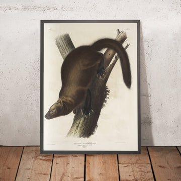 A framed image of 