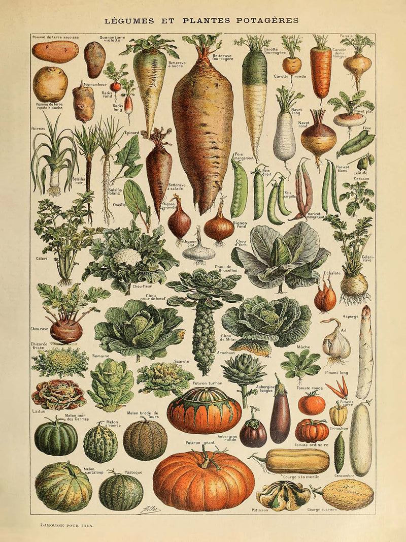 Visualiser thumbnail artwork