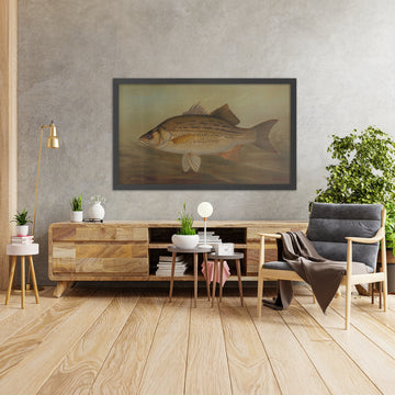 A framed image of 
