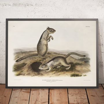 A framed image of 