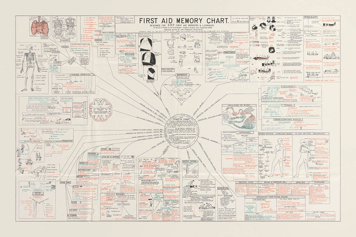 Arztpraxis-Poster: Erste-Hilfe-Gedächtnisdiagramm von Harold Palmer, 1939 