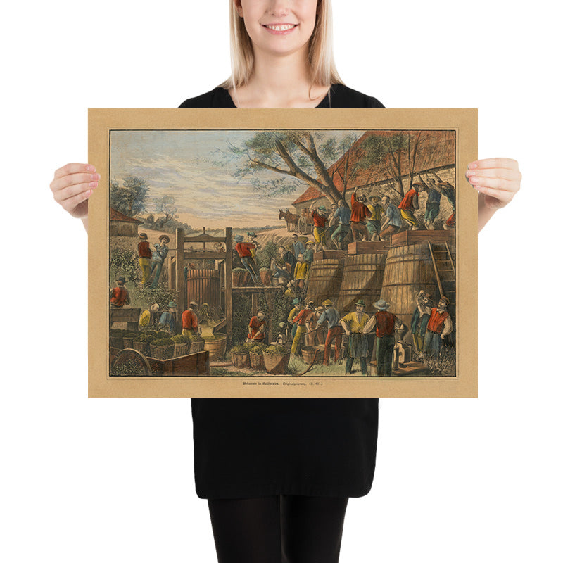 Prima immagine della produzione di vino in California di Harper&