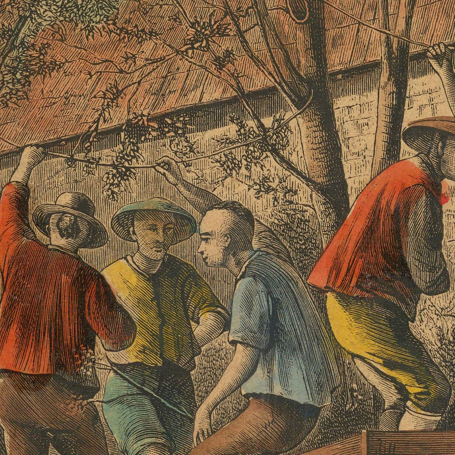 Prima immagine della produzione di vino in California di Harper&