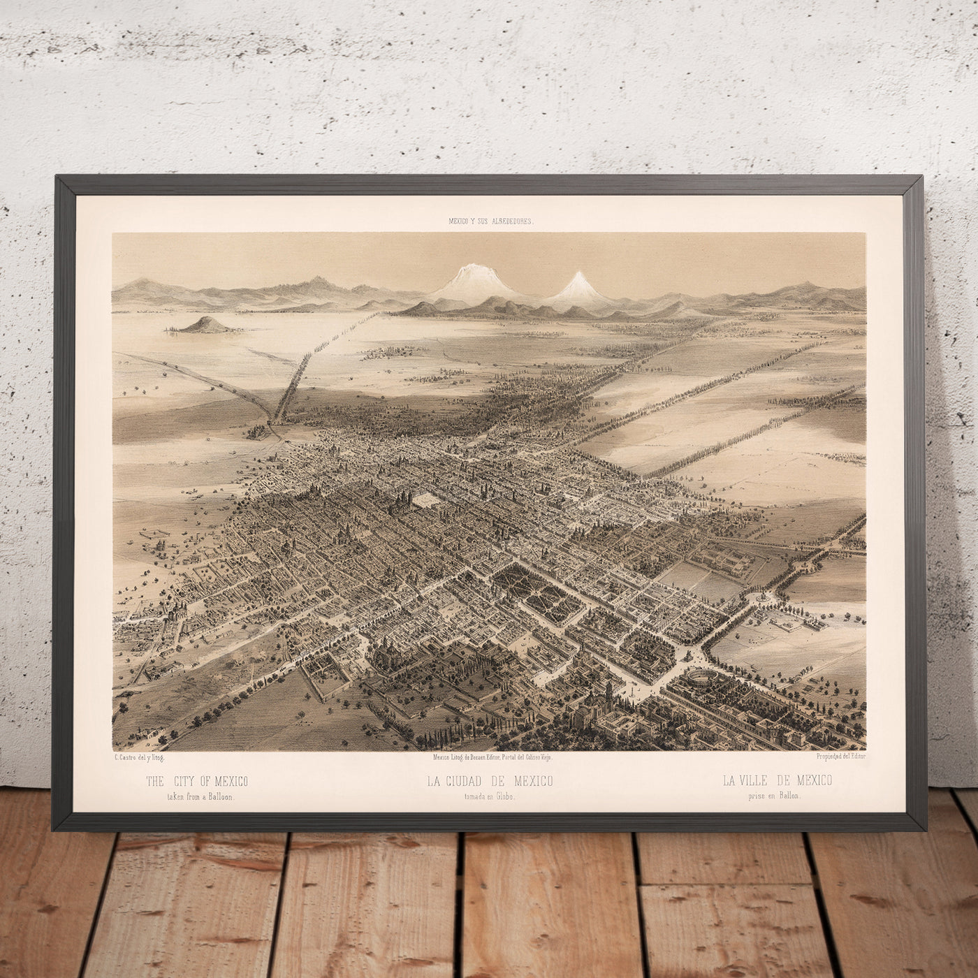 Old Birdseye Map of Mexico City by Decaen, 1862: Cathedral, Tacuba, Parks, Mountains, Plaza Mayor