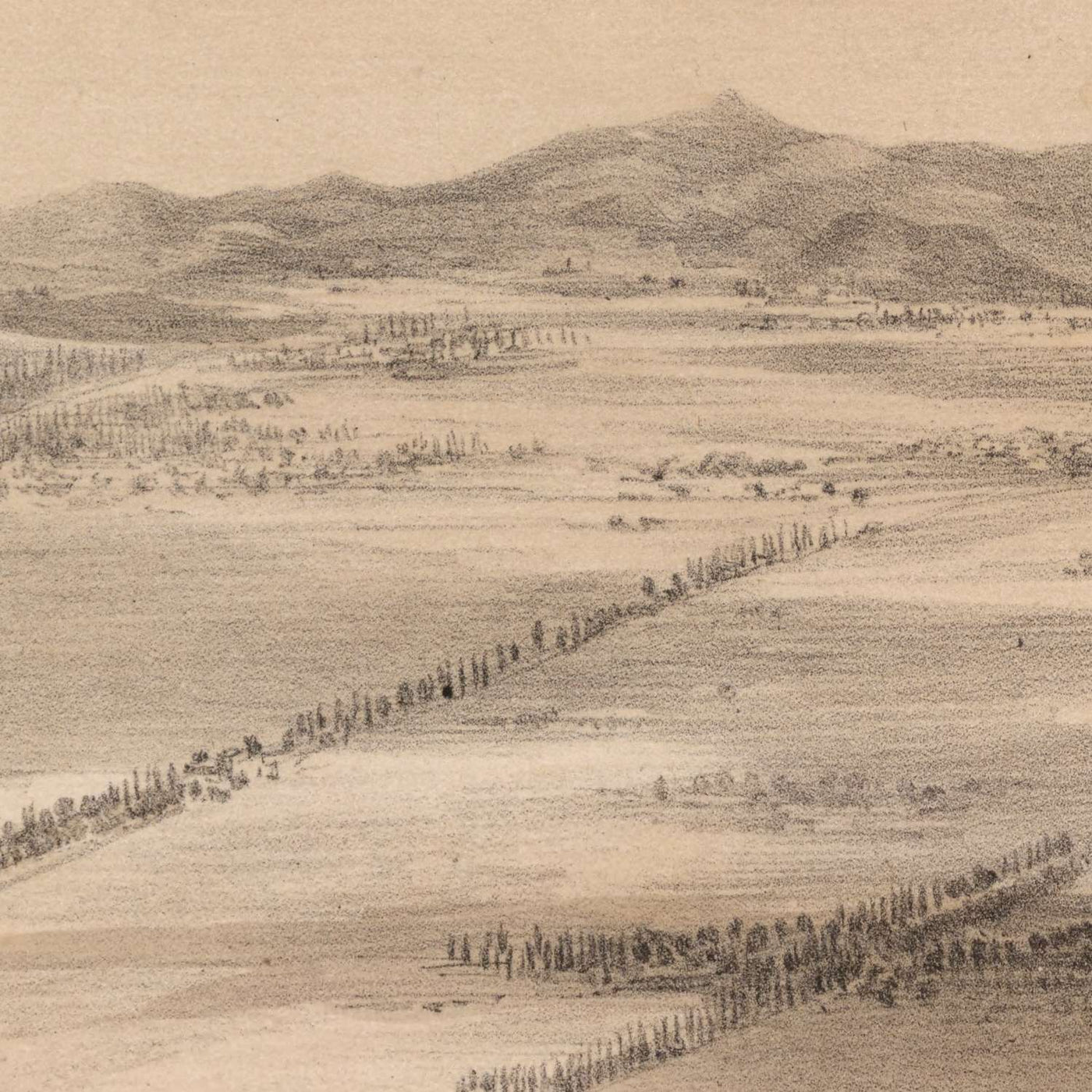 Old Birdseye Map of Mexico City by Decaen, 1862: Cathedral, Tacuba, Parks, Mountains, Plaza Mayor