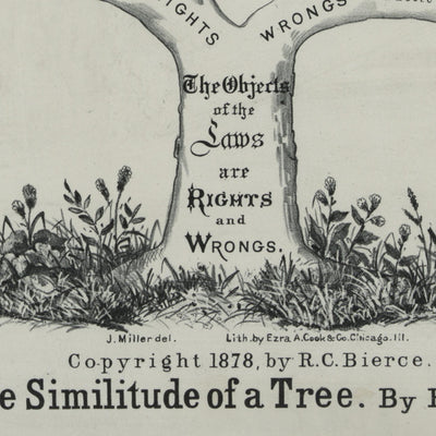 Law Office Poster, 1878: Common Law as a Tree by RC Bierce, 1878