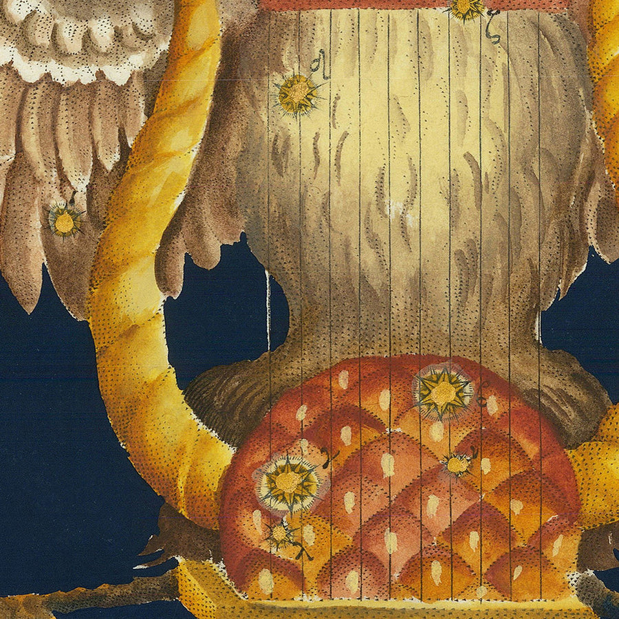 Antica mappa stellare di Lyra di Johann Bayer, 1603 - Mappa delle costellazioni celesti 