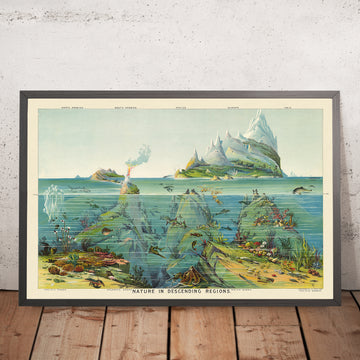La nature dans les régions descendantes par Yaggy, 1893 
