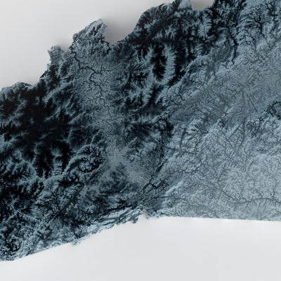 Carte topographique 3D en relief de la Caroline du Nord 