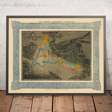 Pesci, I Pesci di Duncan Bradford, 1837 