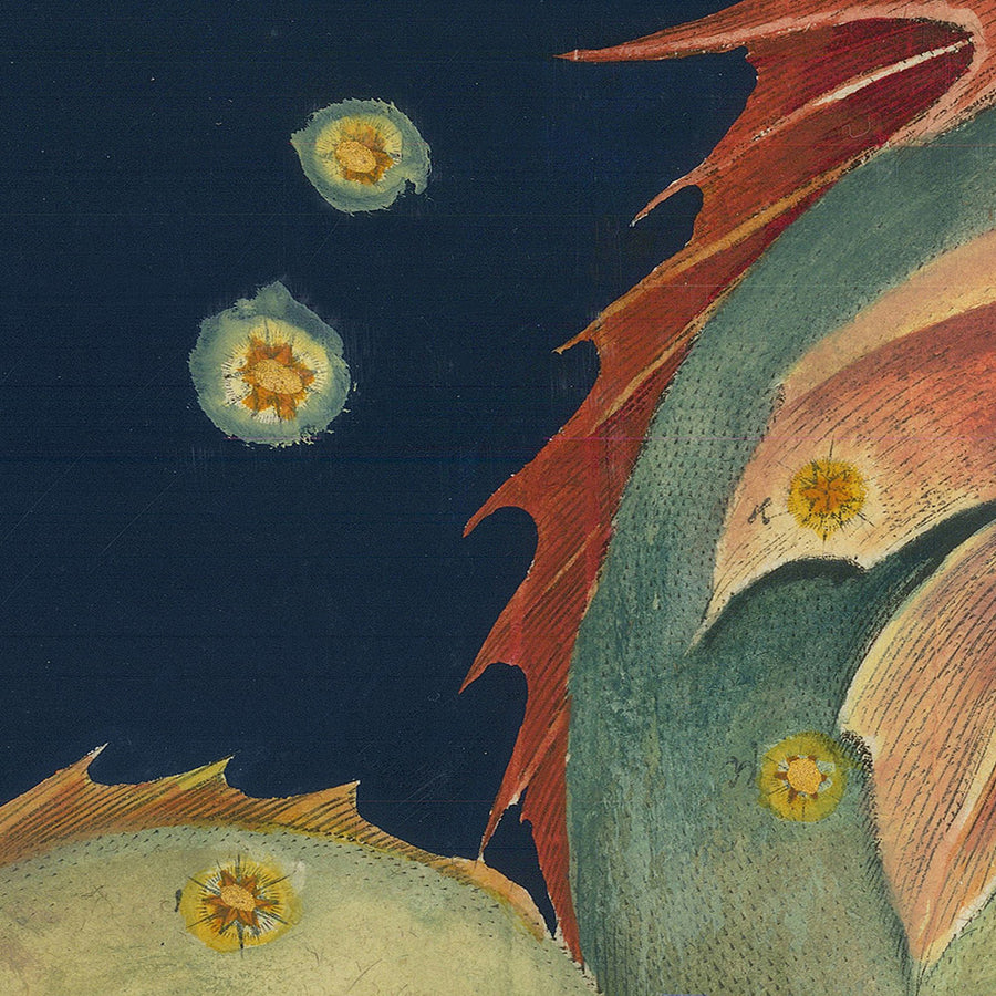 Antica mappa stellare di Piscis Austrinus (Pesce Meridionale) di Johann Bayer, 1603 - Carta delle costellazioni celesti 