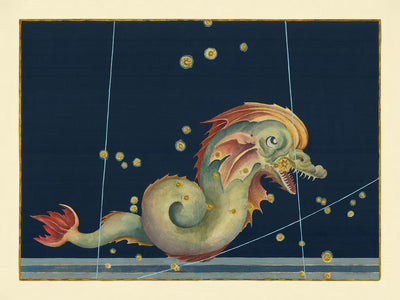 Old Star Map of Piscis Austrinus (Southern Fish) by Johann Bayer, 1603 - Celestial Constellation Chart