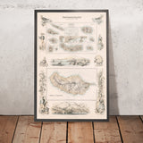 Old Map of Azores & Madeira, 1865: Portuguese Islands, Funchal, Angra, Ponta Delgada, Fayal, Pico