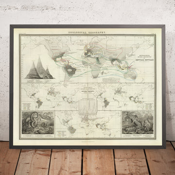 Mapa del Viejo Mundo de distribución de reptiles por Johnston, 1856: serpientes, lagartos y otras ilustraciones de reptiles