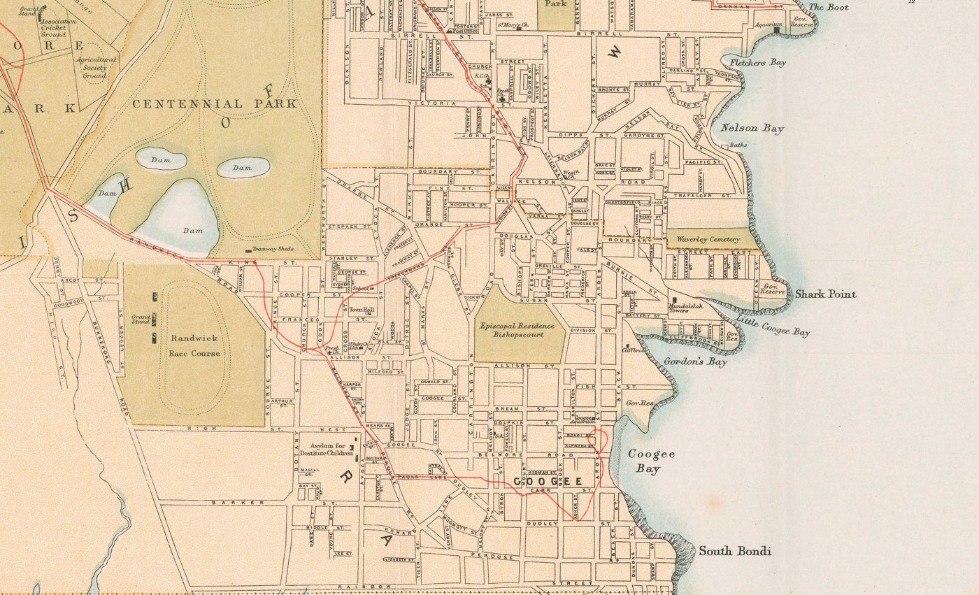 Old Map of Sydney in 1890 by Bartholomew - Port Jackson, Potts Point, Parramatta River, Botany Bay, Darling Point