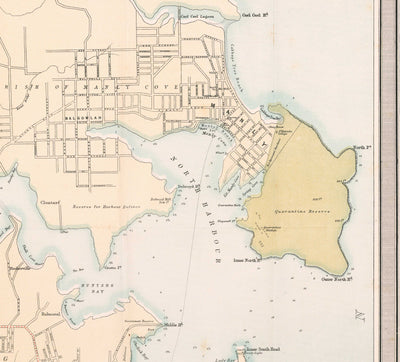 Old Map of Sydney in 1890 by Bartholomew - Port Jackson, Potts Point, Parramatta River, Botany Bay, Darling Point