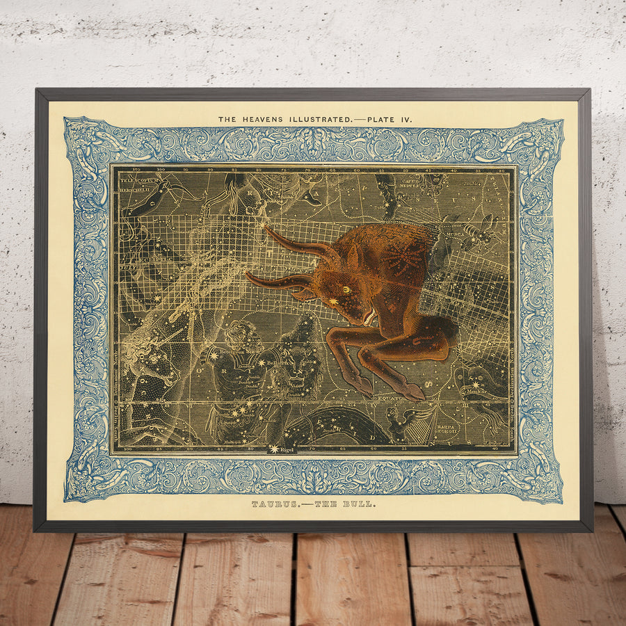 Toro, Il Toro di Duncan Bradford, 1837 