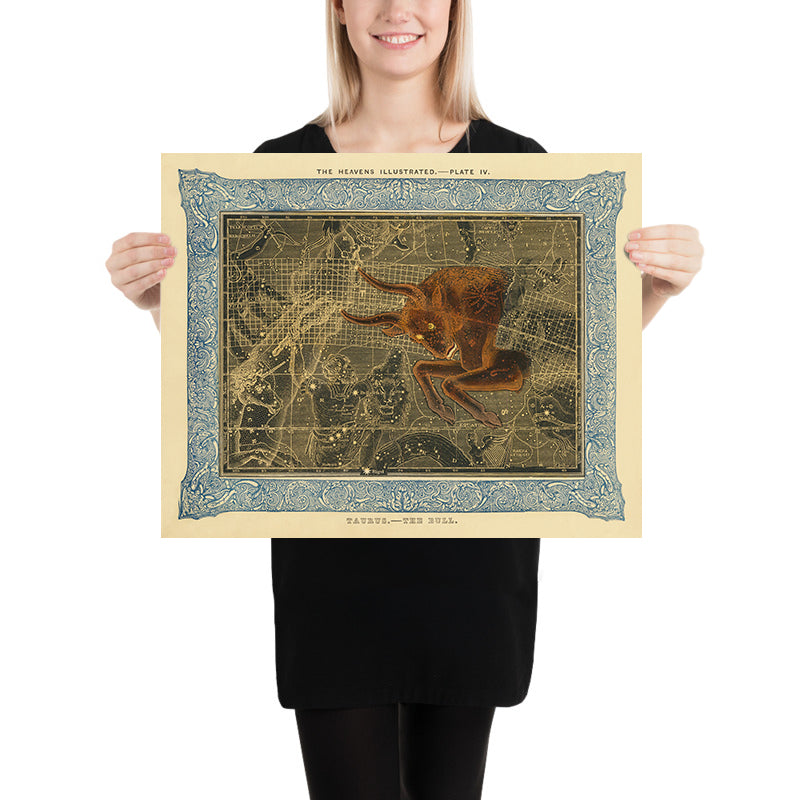 Toro, Il Toro di Duncan Bradford, 1837 