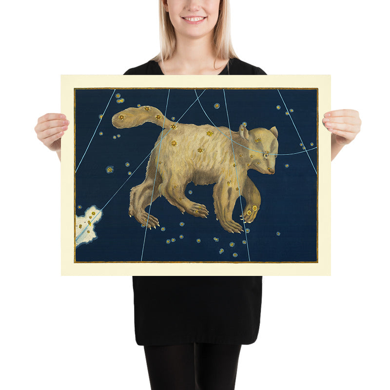 Old Star Map of Ursa Major (Great Bear) by Johann Bayer, 1603 - Celestial Constellation Chart