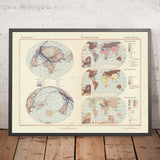Alte Infografik-Karte der globalen Kommunikation, 1967: Flugreisen, Telekommunikationsnetze, internationaler Tourismus 