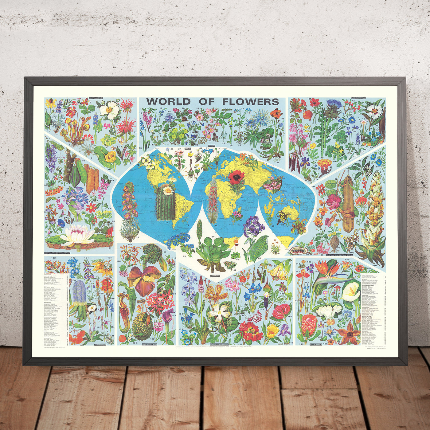 Mapa antiguo del mundo de la distribución de flores por Everard, 1972: Ilustraciones botánicas, flora global 