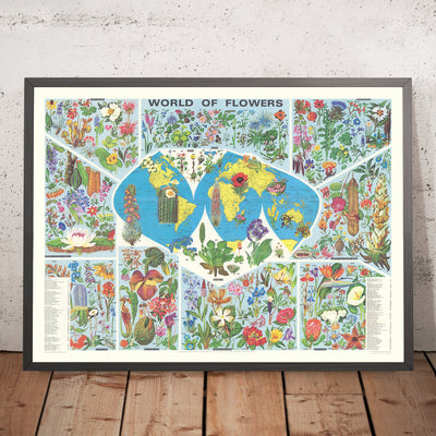 Mapa antiguo del mundo de la distribución de flores por Everard, 1972: Ilustraciones botánicas, flora global 