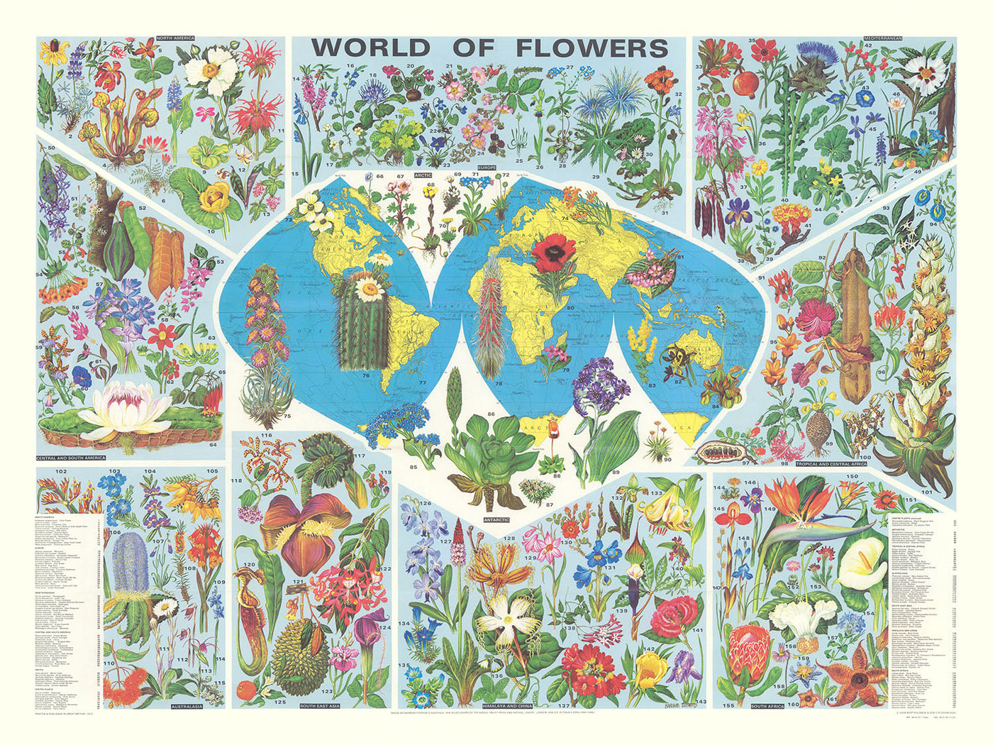 Mapa antiguo del mundo de la distribución de flores por Everard, 1972: Ilustraciones botánicas, flora global 