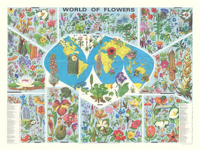 Mapa antiguo del mundo de la distribución de flores por Everard, 1972: Ilustraciones botánicas, flora global 