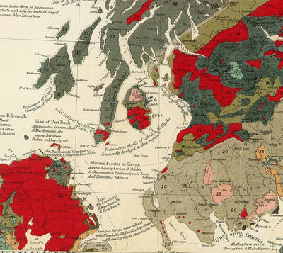 Ancienne carte géologique et paléontologique de l'Écosse, 1854, par A.K. Johnston et Edward Forbes - Rare Fossil Wall Chart