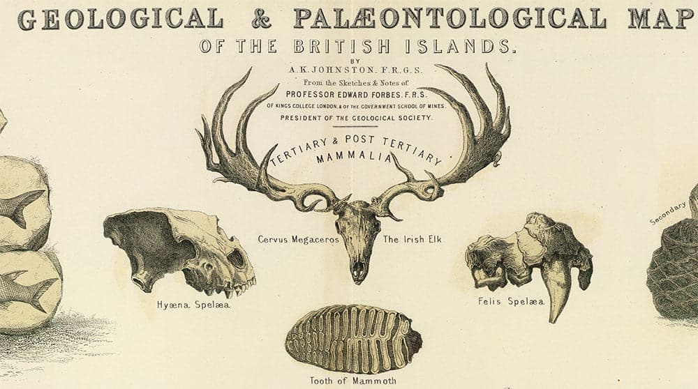 Ancienne carte géologique et paléontologique de l'Écosse, 1854, par A.K. Johnston et Edward Forbes - Rare Fossil Wall Chart