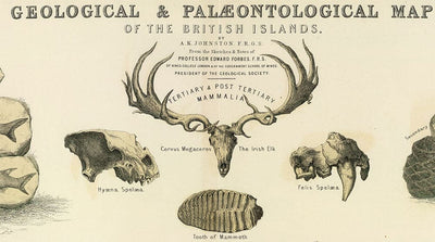 Ancienne carte géologique et paléontologique de l'Écosse, 1854, par A.K. Johnston et Edward Forbes - Rare Fossil Wall Chart