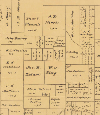 Mapa antiguo raro de Austin, Texas en 1891 - Plan de la ciudad muy temprano, Capitolio del estado, Ferrocarril, UT Austin, Dam Austin