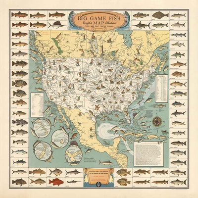 Ancienne carte picturale des États-Unis pour le gros gibier, 1936 - Alaska, Floride, Michigan, Minnesota, Louisiane
