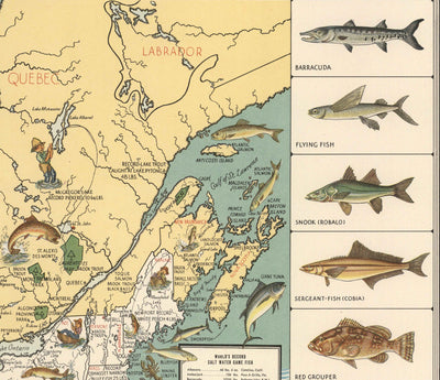 Ancienne carte picturale des États-Unis pour le gros gibier, 1936 - Alaska, Floride, Michigan, Minnesota, Louisiane