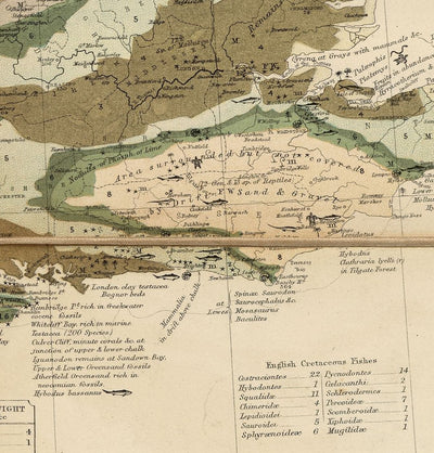 Old Geology & Fossil Map of the British Isles, 1854, by A.K. Johnston and Edward Forbes - UK, Scotland, Ireland, Palaeontology