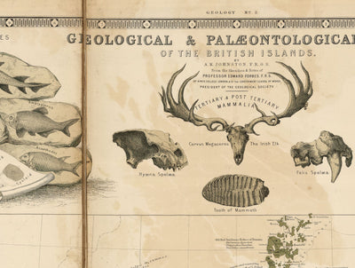 Old Geology & Fossil Map of the British Isles, 1854, by A.K. Johnston and Edward Forbes - UK, Scotland, Ireland, Palaeontology