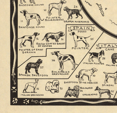 Ancienne carte des chiens, 1936 - Atlas mondial des races - Terrier, Bulldog, Carlin, Berger allemand, Husky, Retriever, Chien de berger