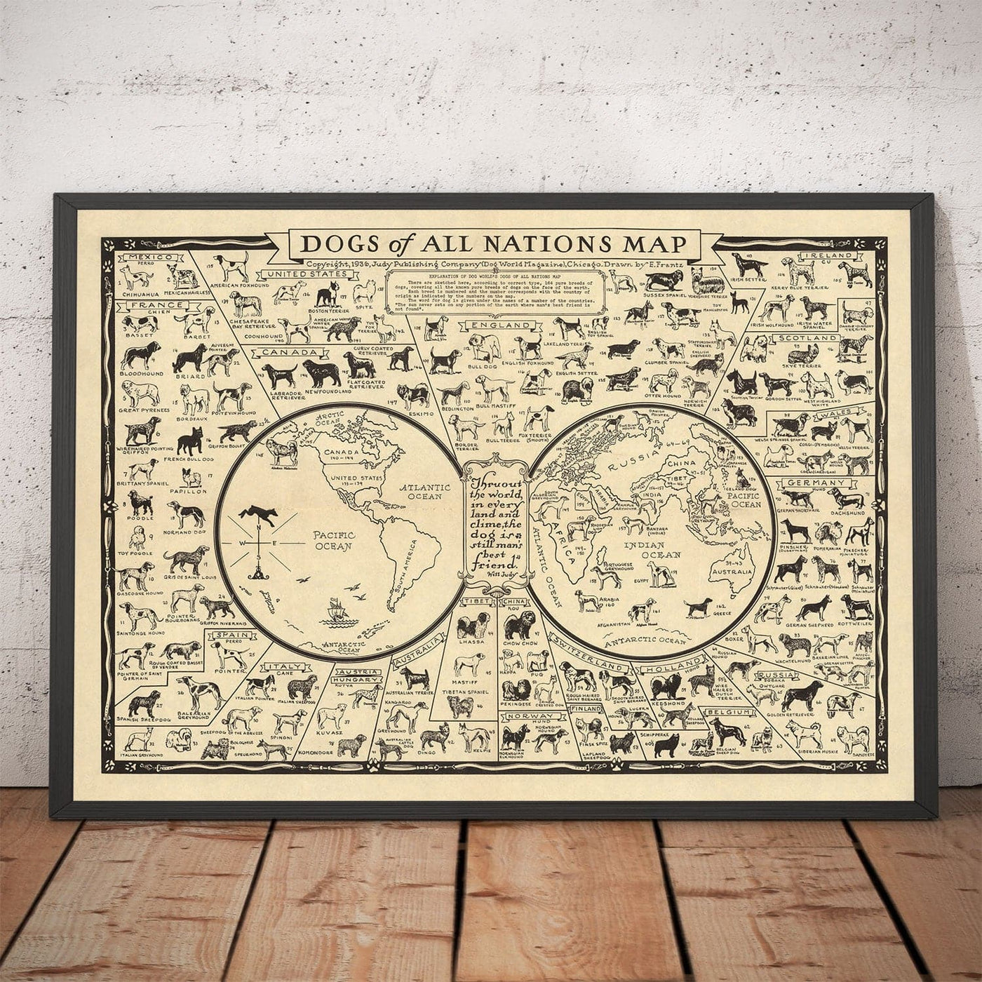 Ancienne carte des chiens, 1936 - Atlas mondial des races - Terrier, Bulldog, Carlin, Berger allemand, Husky, Retriever, Chien de berger
