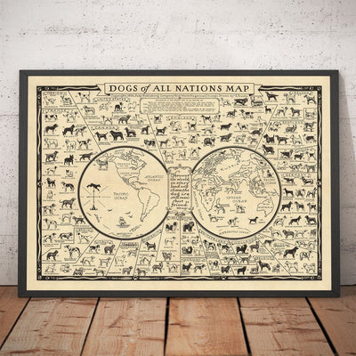 Ancienne carte des chiens, 1936 - Atlas mondial des races - Terrier, Bulldog, Carlin, Berger allemand, Husky, Retriever, Chien de berger