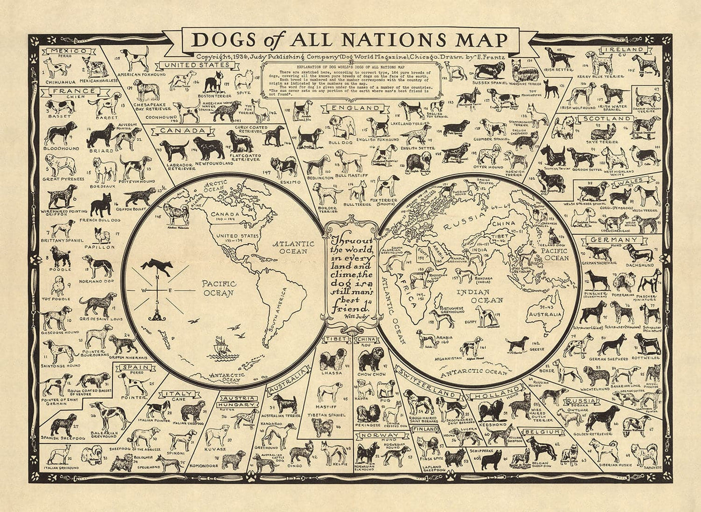 Ancienne carte des chiens, 1936 - Atlas mondial des races - Terrier, Bulldog, Carlin, Berger allemand, Husky, Retriever, Chien de berger