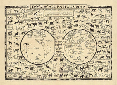 Ancienne carte des chiens, 1936 - Atlas mondial des races - Terrier, Bulldog, Carlin, Berger allemand, Husky, Retriever, Chien de berger