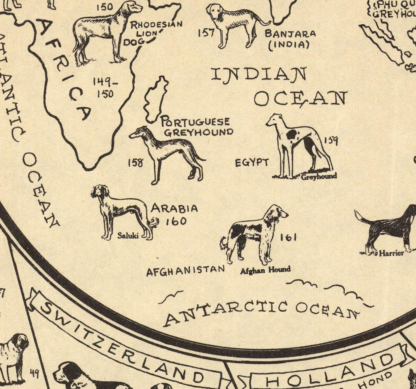 Ancienne carte des chiens, 1936 - Atlas mondial des races - Terrier, Bulldog, Carlin, Berger allemand, Husky, Retriever, Chien de berger