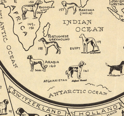 Ancienne carte des chiens, 1936 - Atlas mondial des races - Terrier, Bulldog, Carlin, Berger allemand, Husky, Retriever, Chien de berger