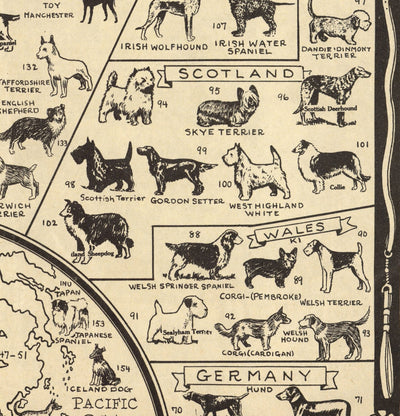 Ancienne carte des chiens, 1936 - Atlas mondial des races - Terrier, Bulldog, Carlin, Berger allemand, Husky, Retriever, Chien de berger