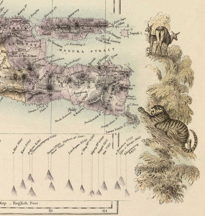 Ancienne carte des Indes orientales néerlandaises en 1872 par Fullarton - Bornéo, Java, Indonésie, Colonialisme, Océan Indien