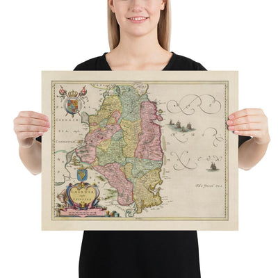 Old Map of Leinster, Ireland in 1665 by Joan Blaeu - County Dublin, Kilkenny, Meath, Drogheda Swords, Waterford, East Eire