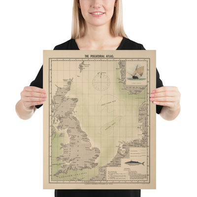 Antiguo mapa de la caballa del Mar del Norte, 1883 por O.T. Olsen - Pesca de la caballa, distribución, desove, etc.