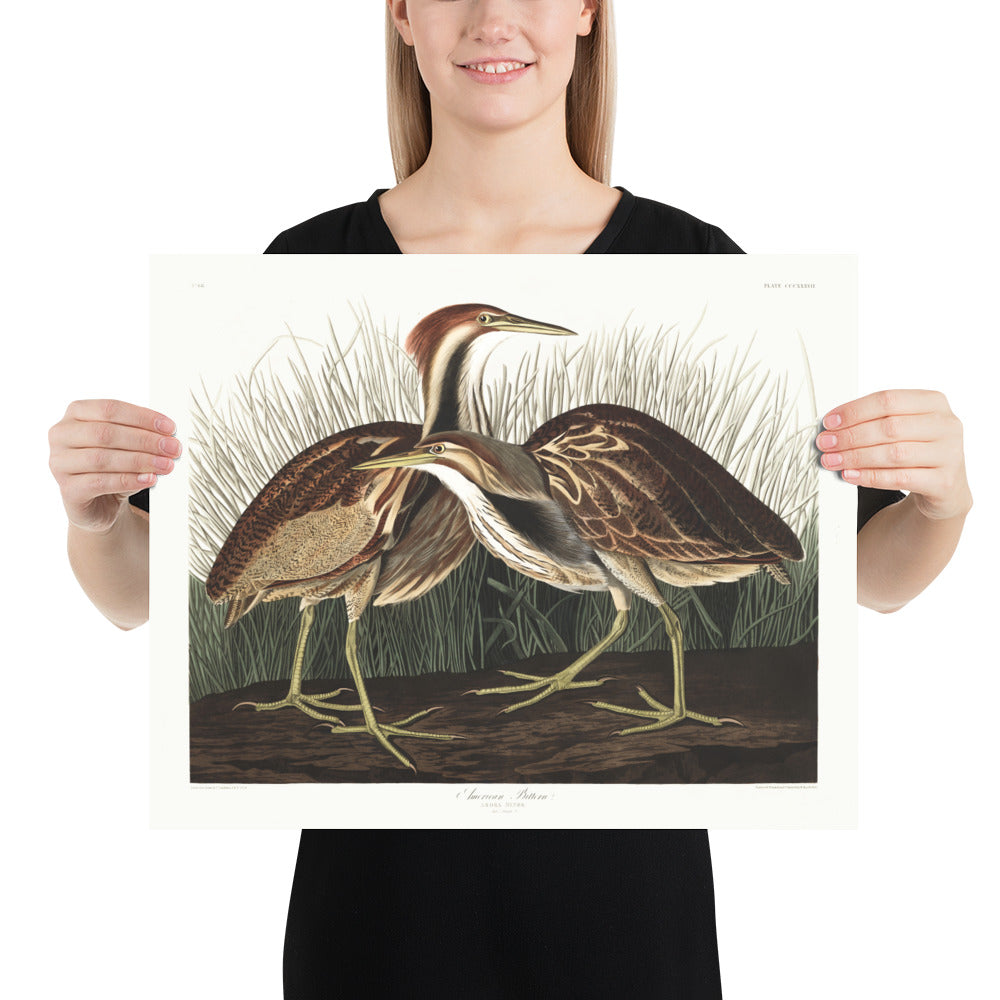 The model holds the 16x20in (40x50cm) art print